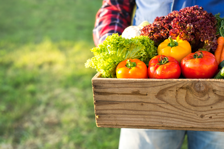 食用农产品合格证是什么?要如何开具?这些要点你需要知道.