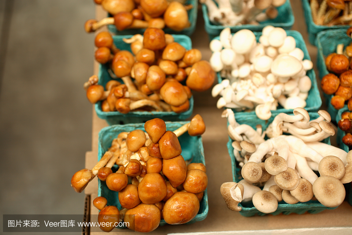 农贸市场:蘑菇