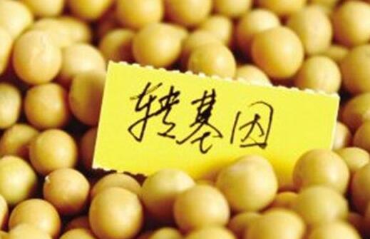 黑龙江黑龙江省食品安全条例明年实施将依法禁止种植转